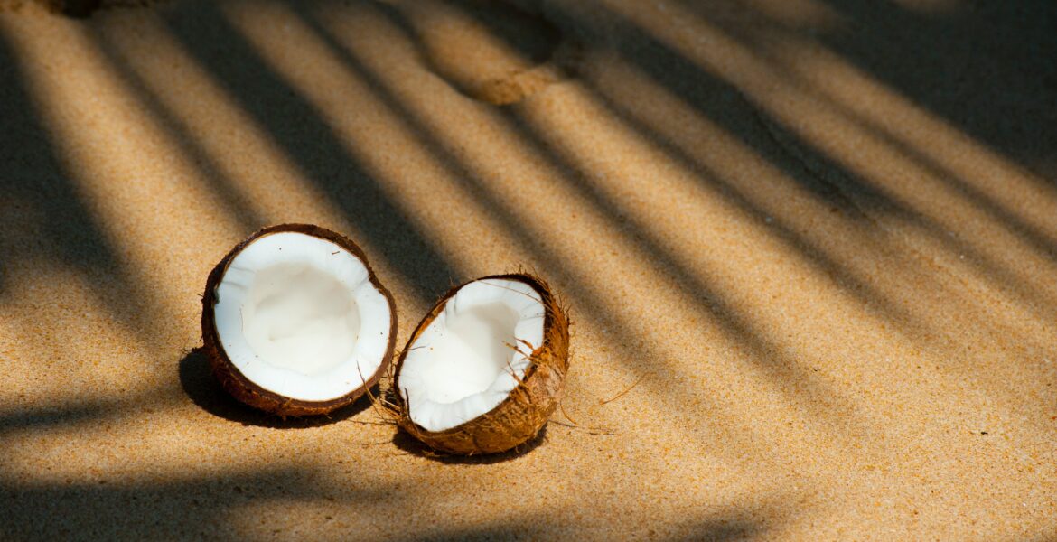 kokosnoot door de midden heen in het warme woestijnzand