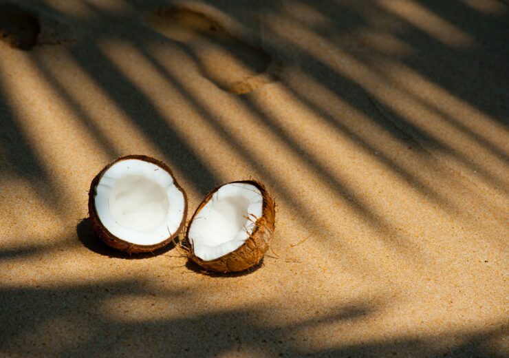 kokosnoot door de midden heen in het warme woestijnzand